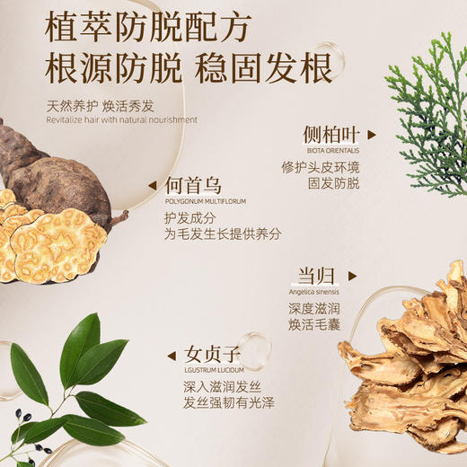 持证防脱！快人一步！『诗朗防脱洗发露』植萃防脱配方 稳固发根 秀发健康强韧 秀发清爽不油腻 商品图2