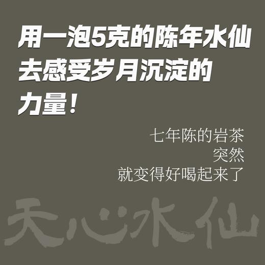 陈隐•水仙 2017天心岩水仙 武夷陈年老岩茶正岩 [藏茶密室.宝之] 商品图4