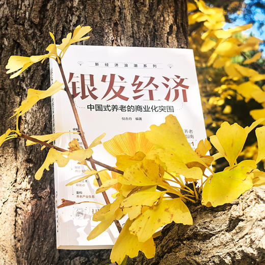 银发经济 : 中国式养老的商业化突围 商品图1