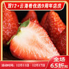 【丹东草莓】顺丰空运到家 娇艳欲滴 清甜脆嫩 黄金酸甜比 唇齿留香 果型饱满 4种规格任选 商品缩略图0