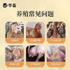 华畜四季流感兽用提免疫中药提取猪牛羊鸡鸭鹅孕畜可用呼吸流感康 商品缩略图1