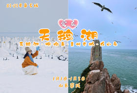 早鸟立省100！元旦3日《爱在•天鹅湖》百名83-05单身专线｜遇见天鹅湖-烟墩角-青州古城-成山头｜亚洲最大天鹅过冬地