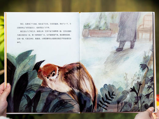 《语文课精选经典绘本》（全20册）|3-9岁孩子的宝藏绘本，培养品格、孩子童年更丰盈，画风高级、装帧精美，所有家庭典藏之选！ 商品图13