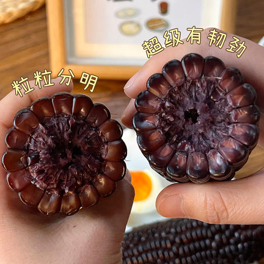 【有机小黑糯玉米】！有机种植，有机高温蒸煮，含花青素，口感香甜软糯，采收吐穗后22-24天黄金期的玉米，严控采收量，确保当天都能锁鲜入库 商品图6