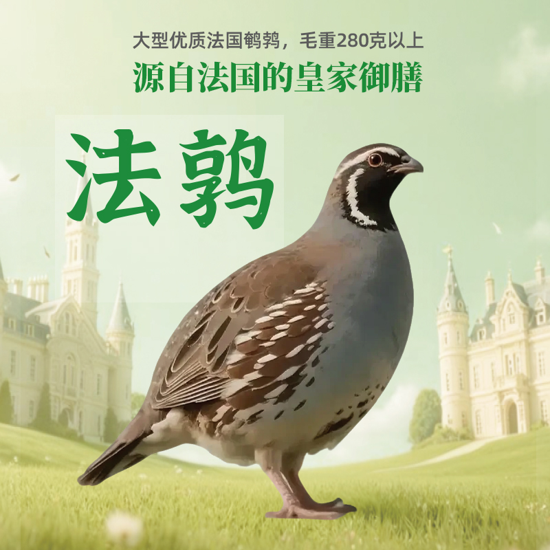 【神丹】法国鹌鹑170g 2/3/4只