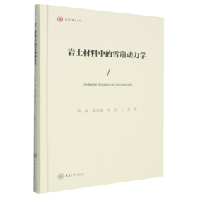 岩土材料中的雪崩动力学
