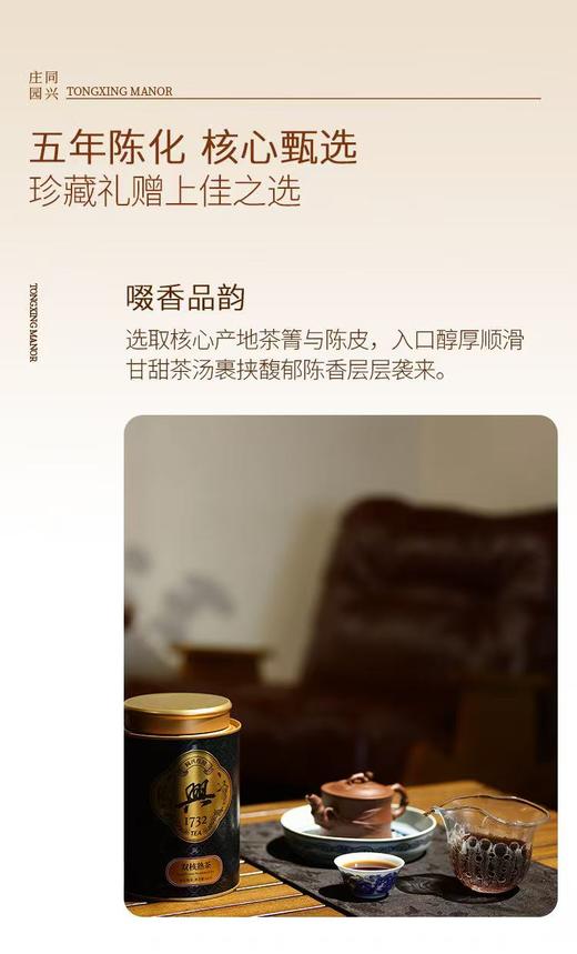 双核熟茶【BN】 商品图4