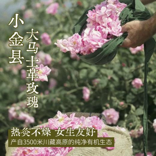 【真不二】陈艾玫瑰/人参高良姜护腰热敷袋加热腰带放松腰部（papi酱&阿雅同款） 商品图5