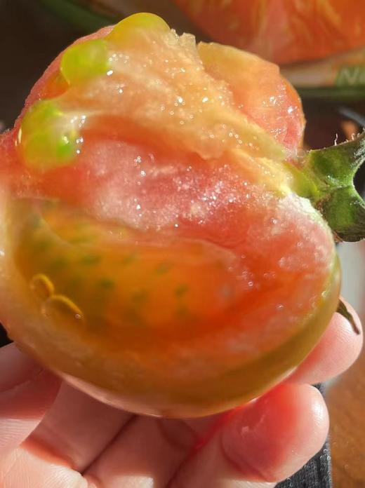 鸿翠园 有机蔬菜套餐 商品图5