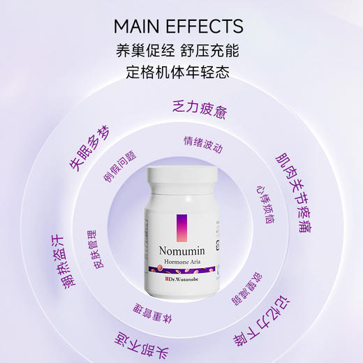 【2025升级版】丸治益生Dr.Watanabe Ferritin Iron铁剂 小紫丸 商品图5