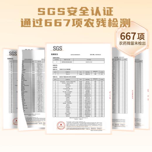 【好麦多】小谷队大穗甜糯白玉米2.08kg(礼盒） 商品图8