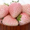 粉玉草莓250g/盒 商品缩略图4