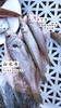 【京东包邮】鲜捕渤海海杂鱼 当季野生鲜捕 眼睛透亮 新鲜度很好 7种海鱼随机混搭4-5种 每盒搭配都不一样 基地直邮 商品缩略图6
