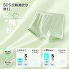 【儿童内裤】森林棠新款男童女童吸湿透气5A抑菌莫代尔内裤三条装43762021 商品缩略图5