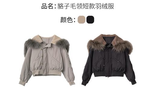 【门店同款】ENJOY冬季“暖冬知性”貉子毛领短款羽绒服 168143849 商品图14