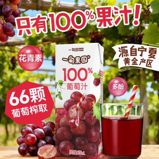品牌直发 一甸园 一甸果园100%葡萄汁 200mLx10盒/箱 1箱装/2箱装 商品图2
