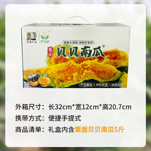 密农人家  精品正宗贝贝南瓜礼盒  进口种源送礼优选5斤 商品图1