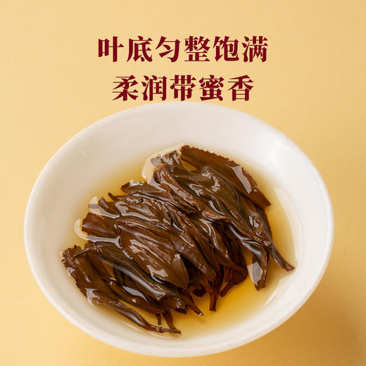 八马-万山红特级金骏眉100g-YGF 商品图4