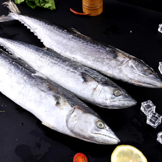 星龙港海捕冷冻鲅鱼礼盒-YGF 商品图2