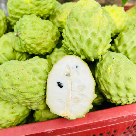 攀枝花凤梨释迦 商品图1