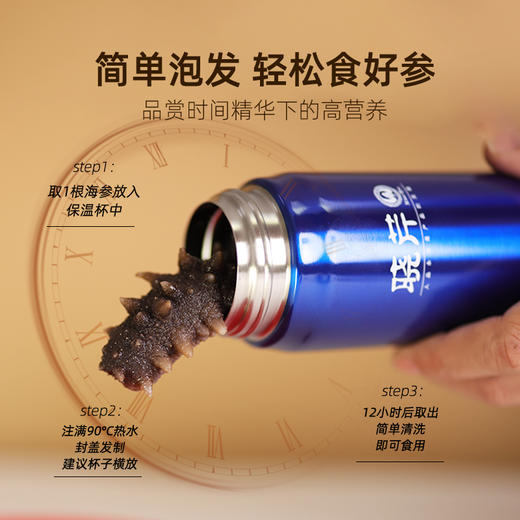 [晓芹]12小时干海参(31-40头 100g装) 送泡发杯1个 商品图3