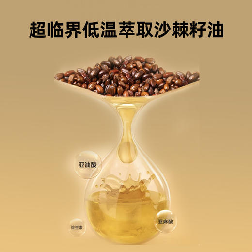 ²  新品首发【山西沙棘果油+沙棘籽油】待见沙棘果油凝胶糖果/沙棘籽油凝胶糖果 0.75g*30粒/瓶 HM02-CRMM-SXSJ 商品图7