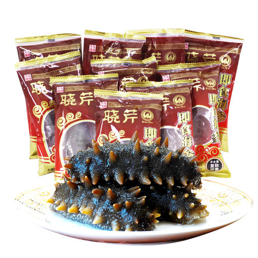 [晓芹]冷冻即食海参 9-12头/500g/袋 【开袋即食|顺丰包邮】 商品图5