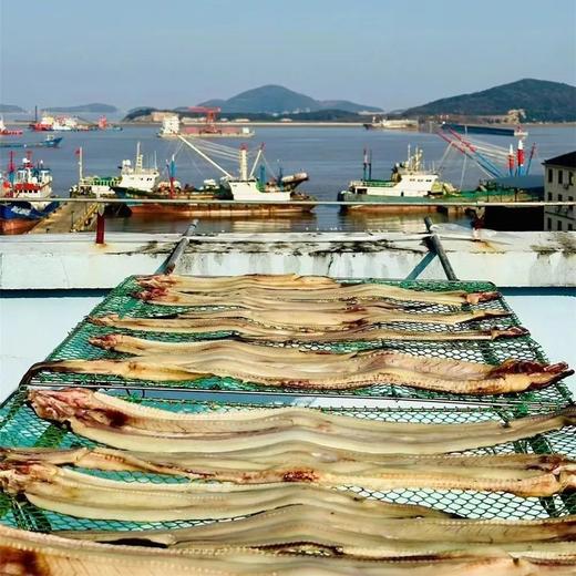 【2025最新一风,限量送梅干菜】舟山独有时令美食 沙鳗鲞/风带鱼/小黄鱼鲞 商品图7