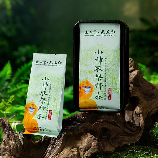 正山堂巴东红 小神农架野茶 特级红茶正宗湖北巴东茶叶品鉴装10g 商品图2
