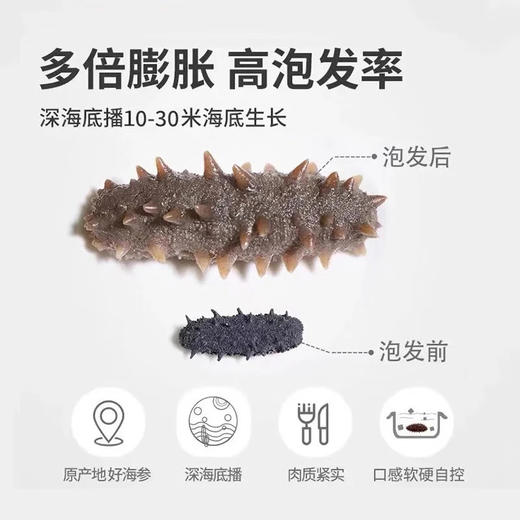 [晓芹]干海参(40-50头 100克装) 商品图2