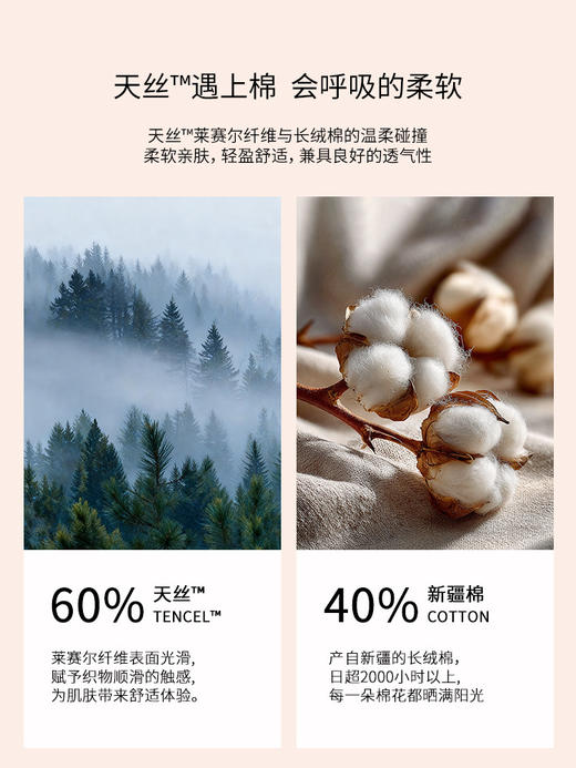 佳丽斯60S天丝磨毛纯棉四件套加厚床上用品全棉保暖2025新款秋冬 商品图1