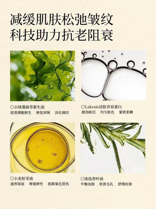 ALAK进口玫瑰面部精华油 以油养肤眼脸刮痧护肤按摩美白紧致抗皱衰官方 商品图3