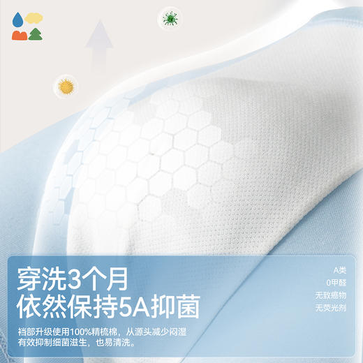 【儿童内裤】森林棠新款男童女童吸湿透气5A抑菌莫代尔内裤三条装43762021 商品图3