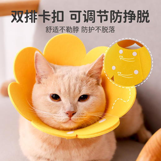 伊丽莎白圈猫绝育项圈猫咪头套防咬围脖伊利莎白圈狗脖圈宠物用品 商品图3