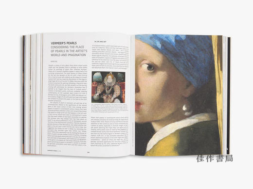 Closer to Vermeer: New Research on the Painter and His Art/走近维米尔：关于这位画家及其艺术的新研究 商品图4