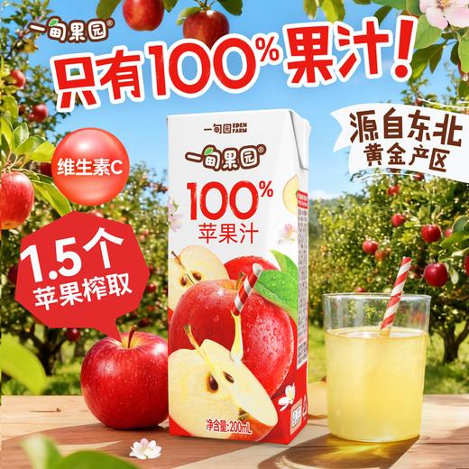 品牌直发 一甸园 一甸果园100%苹果汁 200mLx10盒/箱 1箱装/2箱装 商品图2