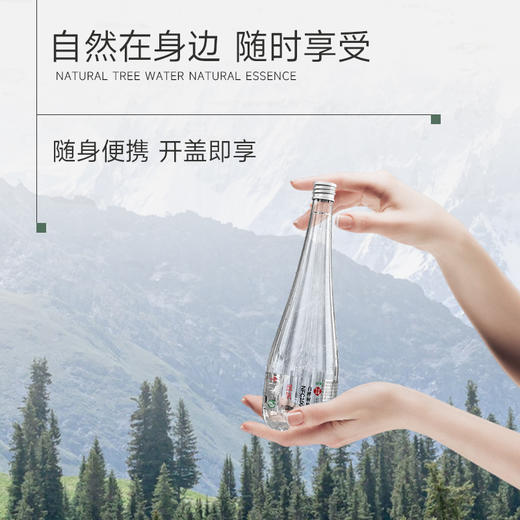 绿氧·NFC100%长白山天然正宗白桦树原汁植物饮品 330ml*6瓶*5箱 商品图4