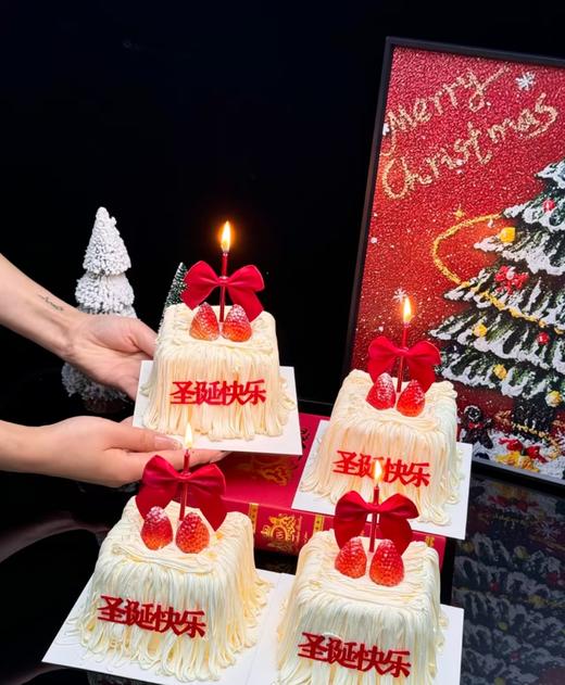 圣诞快乐 | nama甜品研究所 商品图0