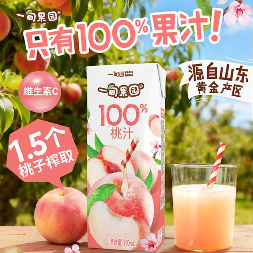 品牌直发 一甸园 一甸果园100%桃汁 200mLx10盒/箱 1箱装/2箱装 商品图2
