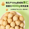 甘源牌咸蛋黄味夏威夷果仁65g每日坚果炒货休闲小零食风味果仁小吃年货 商品缩略图0