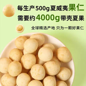 甘源牌咸蛋黄味夏威夷果仁65g每日坚果炒货休闲小零食风味果仁小吃年货