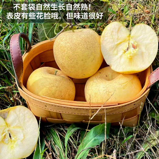 【厂商直发】有机花脸奶油富士苹果0农残果肉清甜多汁新鲜包邮 商品图3