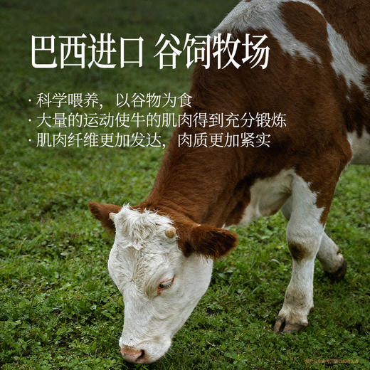 三只松鼠 拇指风干牛肉/原味/150g 【到手约30粒】0添加 商品图5