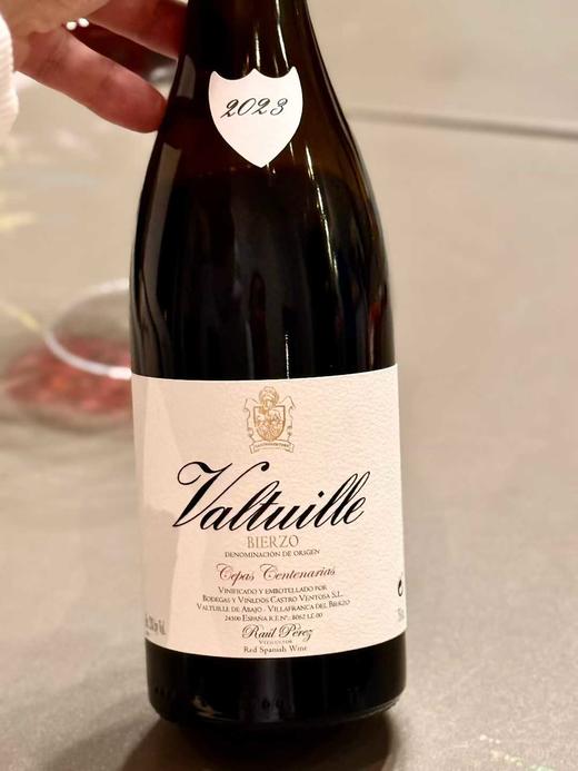 卡斯特罗酒庄瓦图伊维勒嘉斯红葡萄酒2023 Castro Ventosa Valtuille 'Villegas' 商品图3