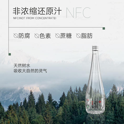 绿氧·NFC100%长白山天然正宗白桦树原汁植物饮品 330ml*6瓶*5箱 商品图2
