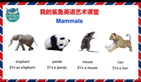 Mammals朗读示范1