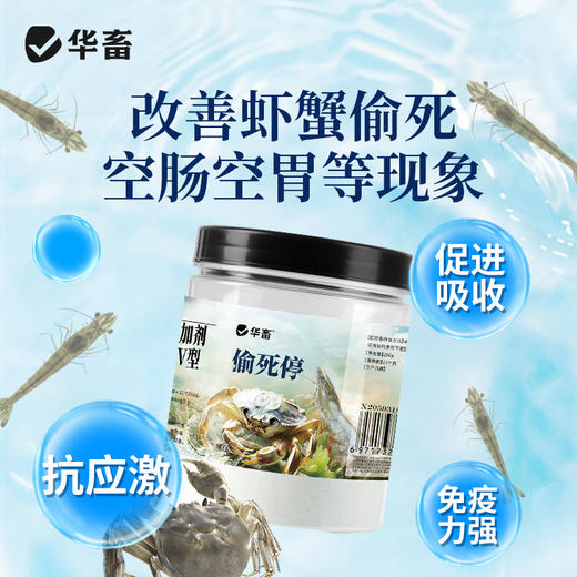 华畜 偷死停 调节肠胃 免疫力强 养殖常备 商品图2