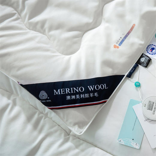 【果壳抽检100%绵羊毛】英国欧特家·OETKER七星级酒店澳洲美利奴羊毛被 商品图1