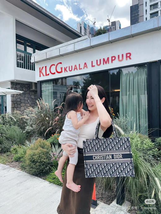 Dior 大号 蓝色 老花 刺绣 booktote 托特包 商品图2