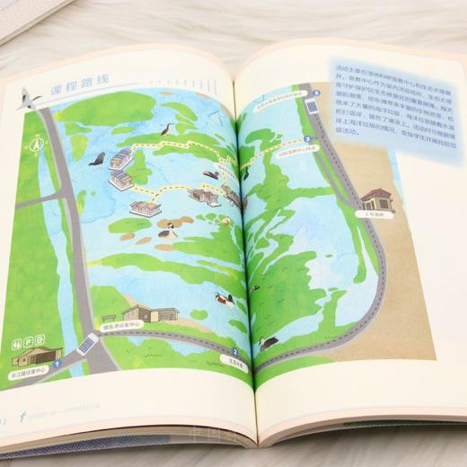 东滩自然一刻——自然教育活动手册 &3008 中小学生湿地自然教育活动手册 东滩湿地学科融合实践素材 观鸟生物调查培养科学思维 内化自然保护意识 含海洋垃圾特工队等特色活动 商品图4